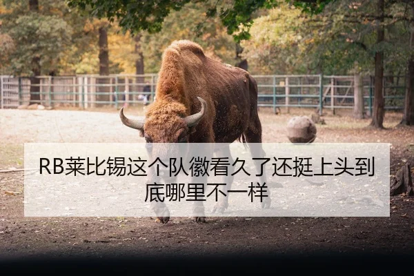 RB莱比锡这个队徽看久了还挺上头到底哪里不一样