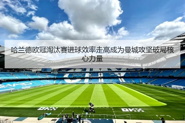 img_1778933350917_762_1_167.jpg
