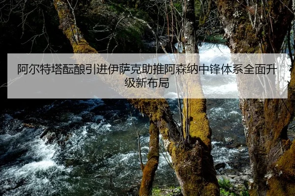 阿尔特塔酝酿引进伊萨克助推阿森纳中锋体系全面升级新布局