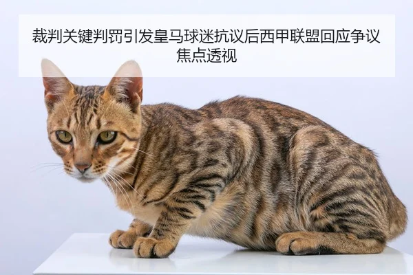 裁判关键判罚引发皇马球迷抗议后西甲联盟回应争议焦点透视