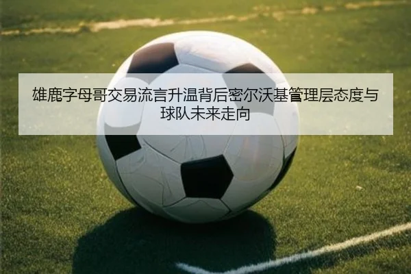 雄鹿字母哥交易流言升温背后密尔沃基管理层态度与球队未来走向